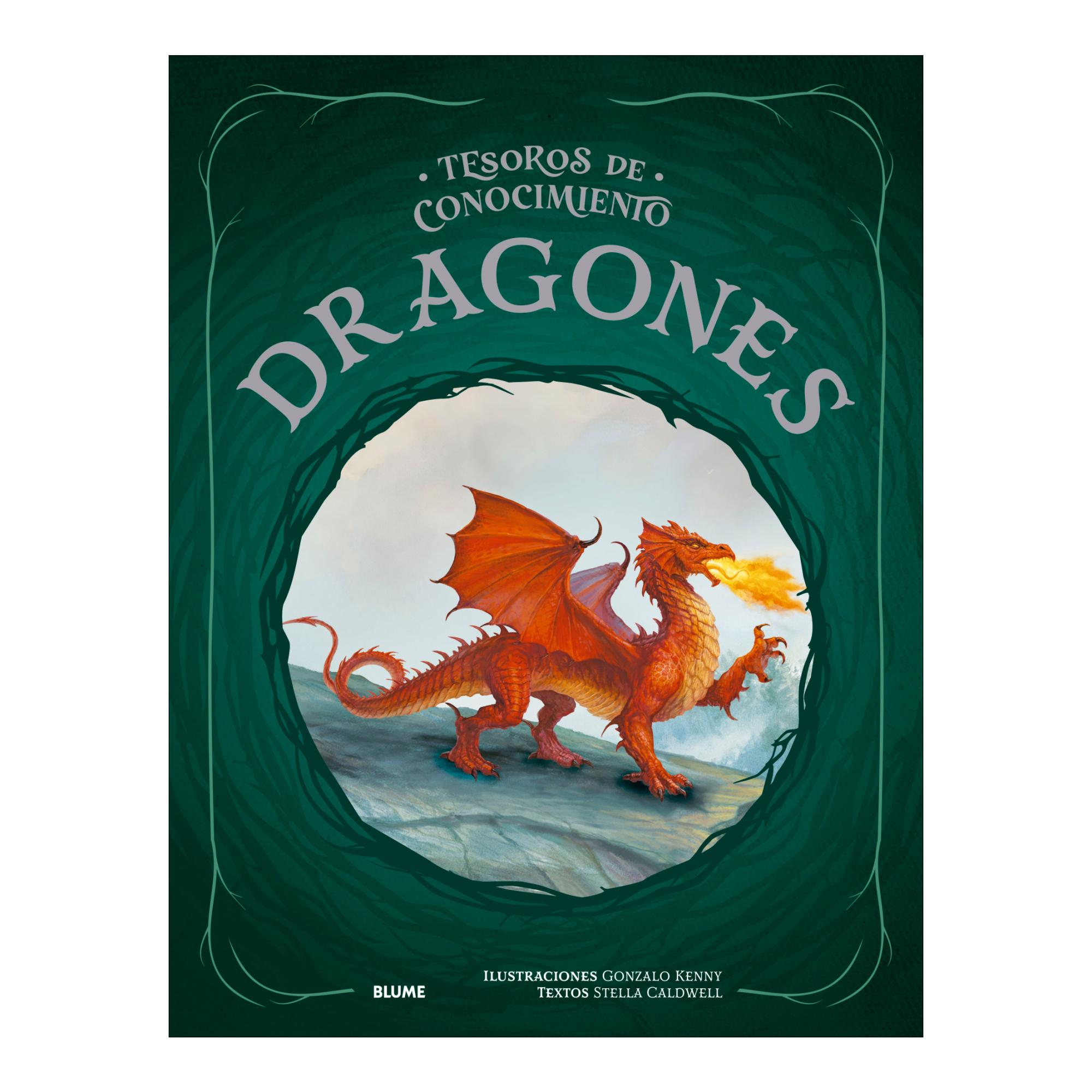 Imagen 0 de TESOROS CONOCIMIENTO. DRAGONES  (Tapa dura)