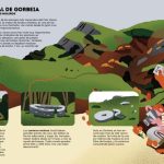 EUSKAL HERRIA NATURA  (Tapa dura) 5