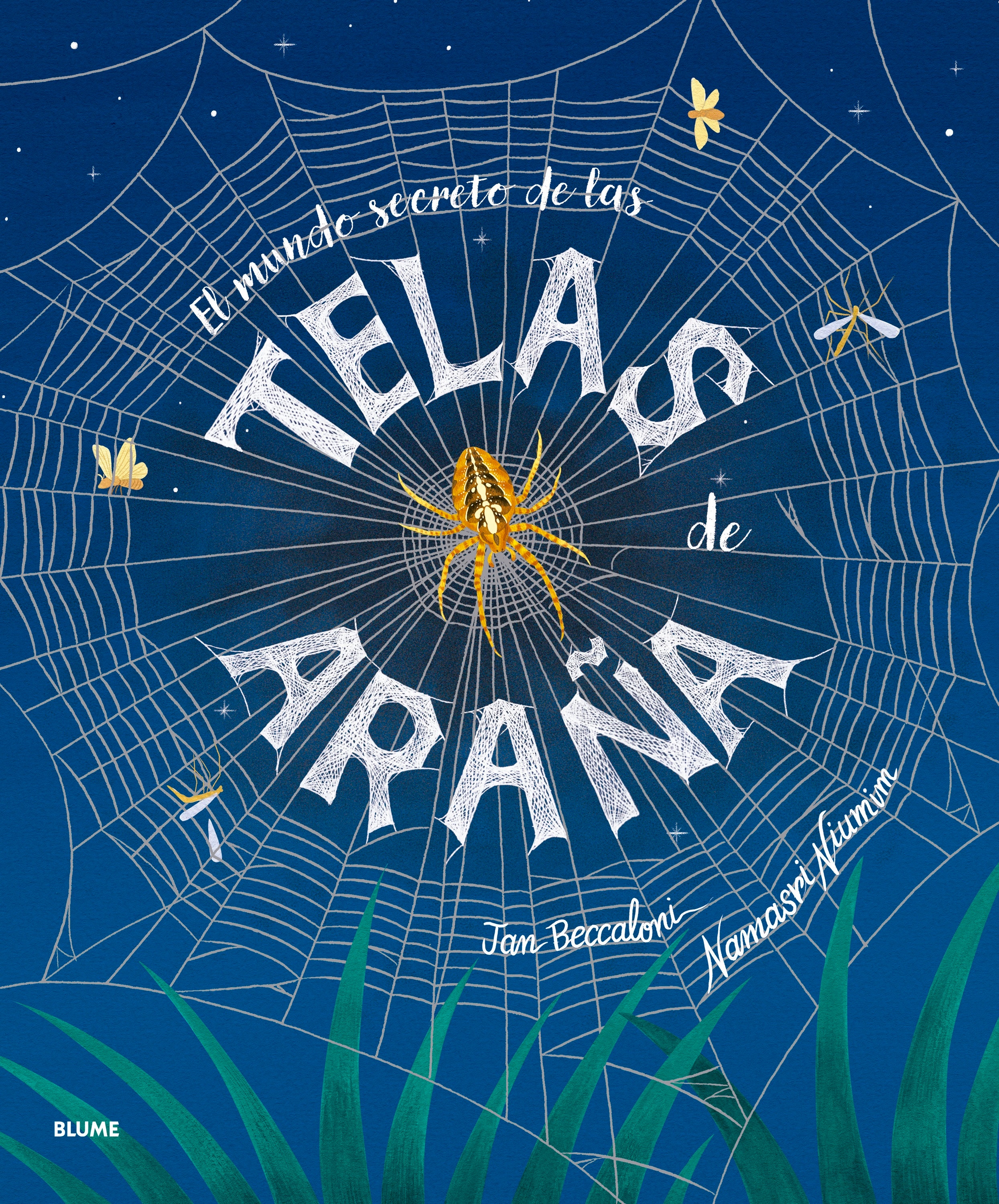 Imagen 0 de MUNDO SECRETO DE LAS TELAS DE ARAÑA  (Tapa dura)