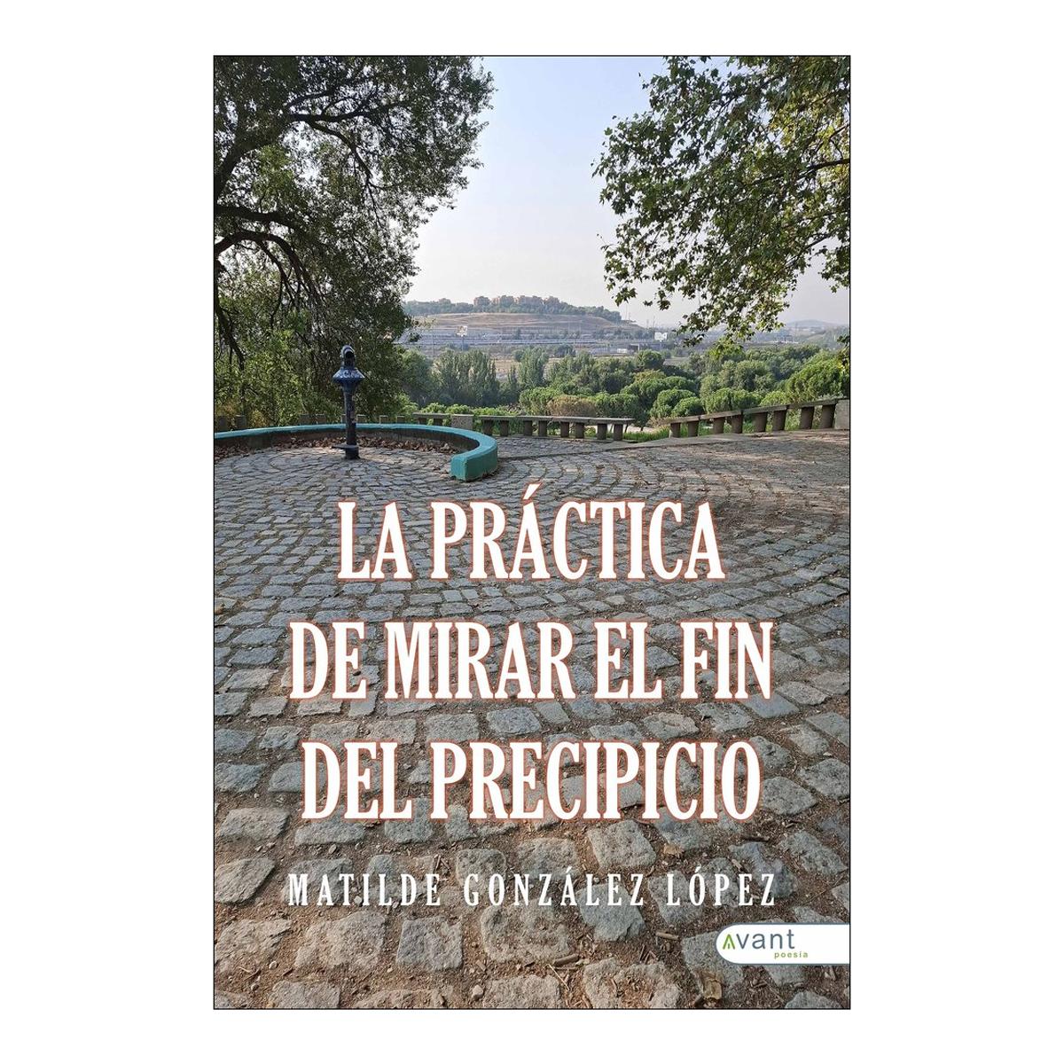 La pracitca de mirar al fin del precipic