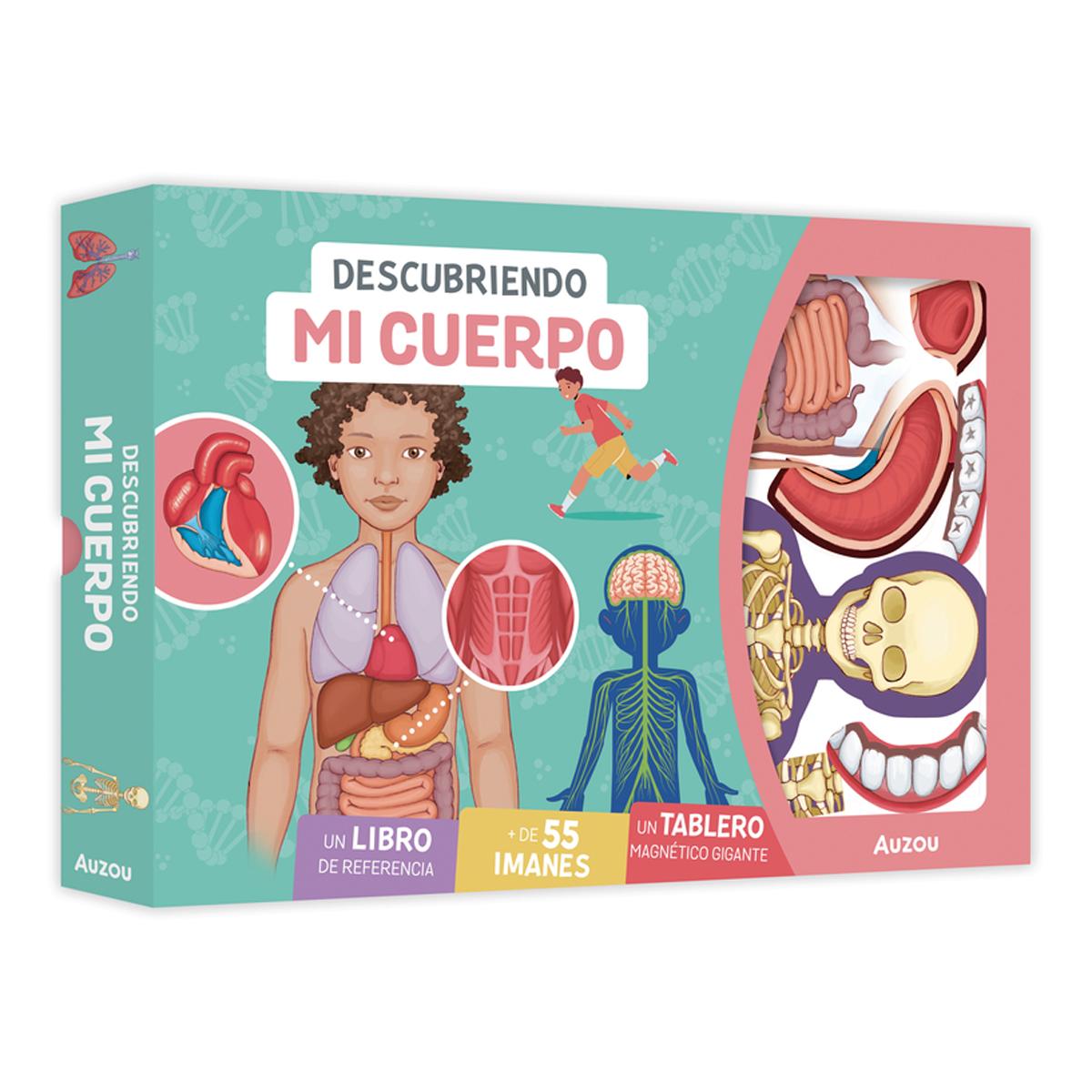 Imagem 0 de Descubriendo mi cuerpo. tablero magnetic