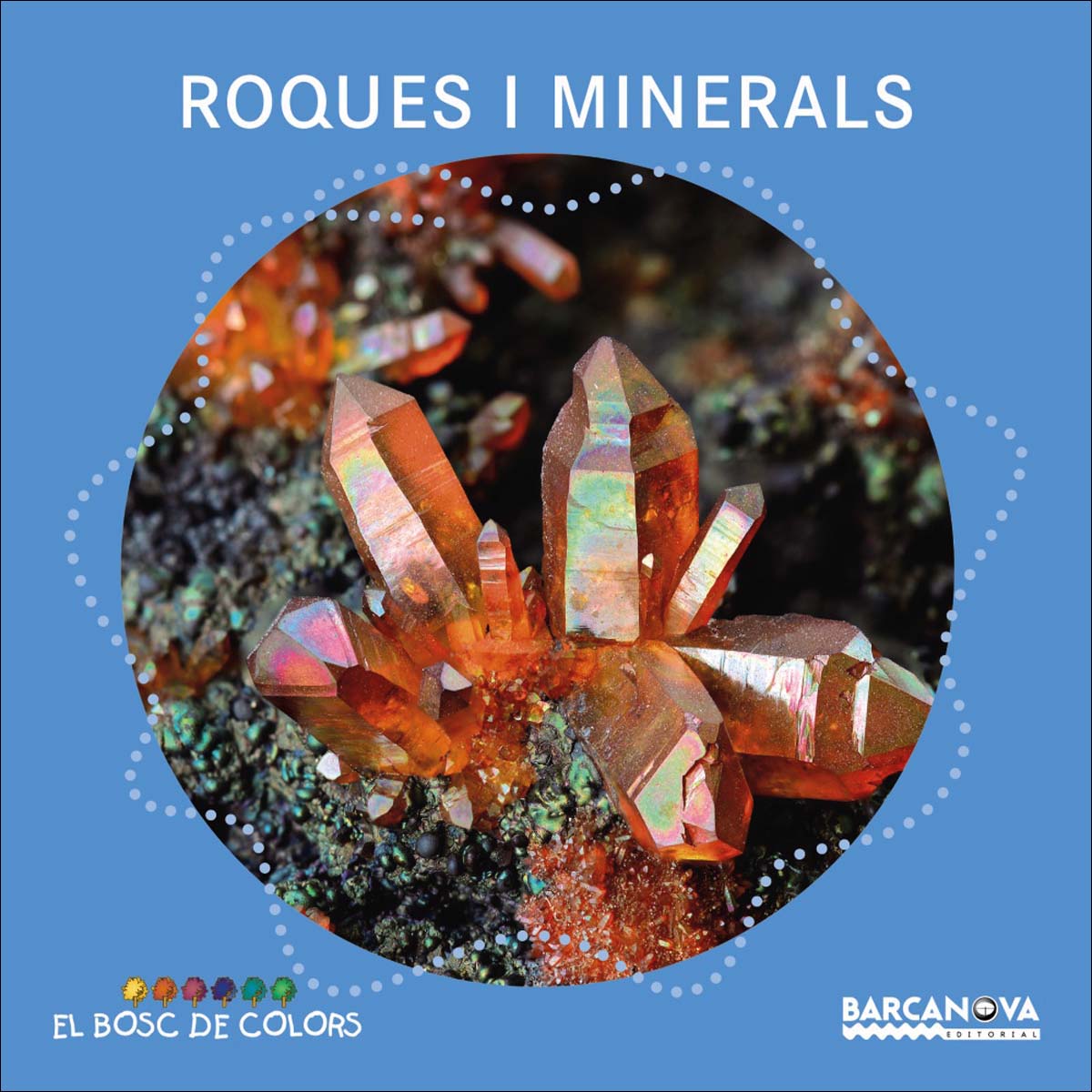 Imagen 0 de Roques i minerals