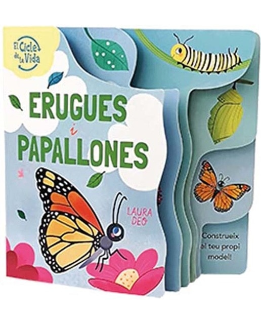 Erugues i Papallones: El cicle de la vida