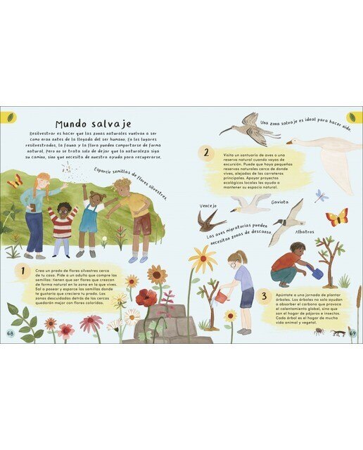 Mi primer jardín: Para pequeños jardineros urbanos  (Tapa dura) 6
