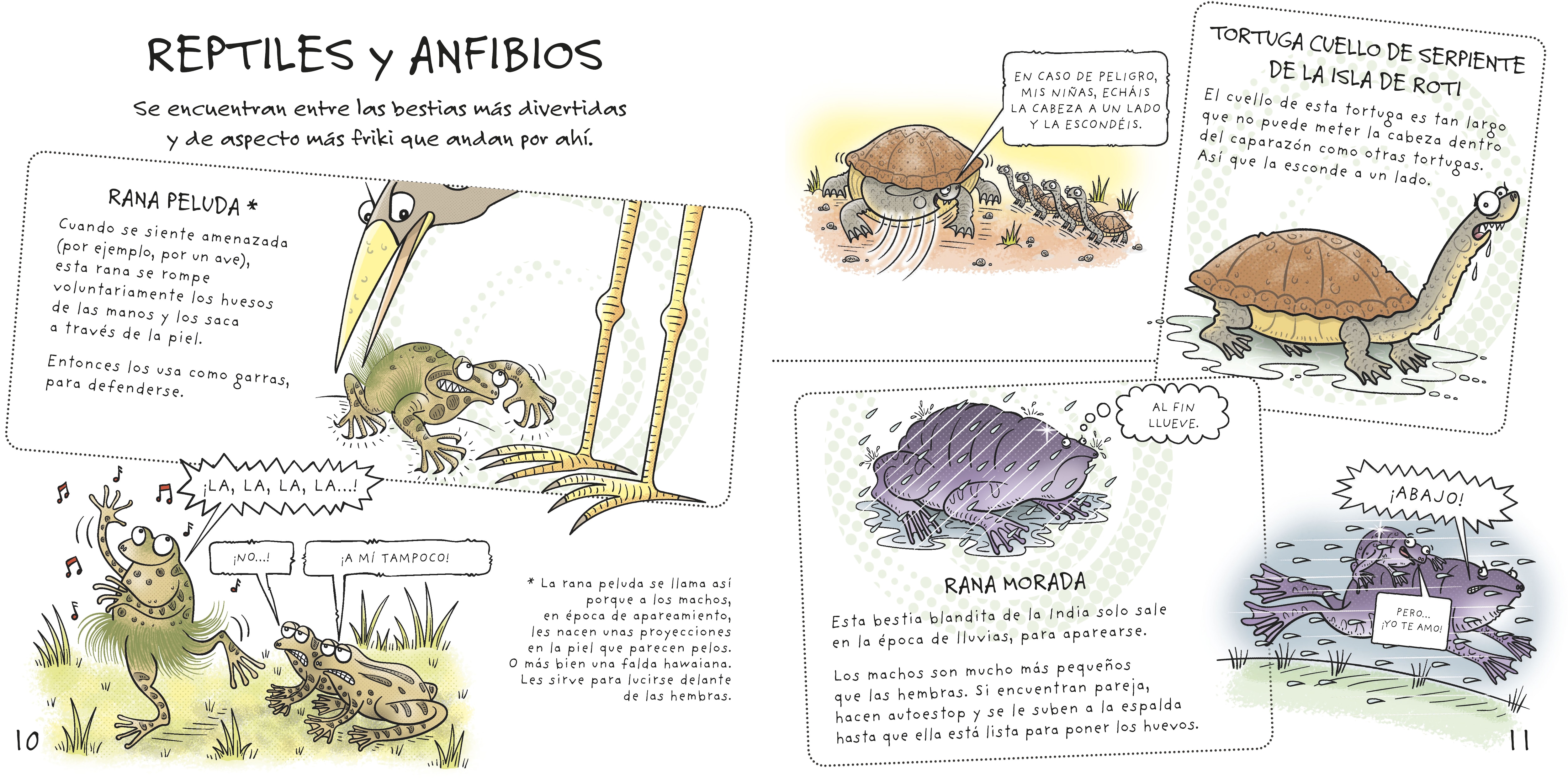 BESTIAS DIVERTIDAS  (Tapa dura) 3
