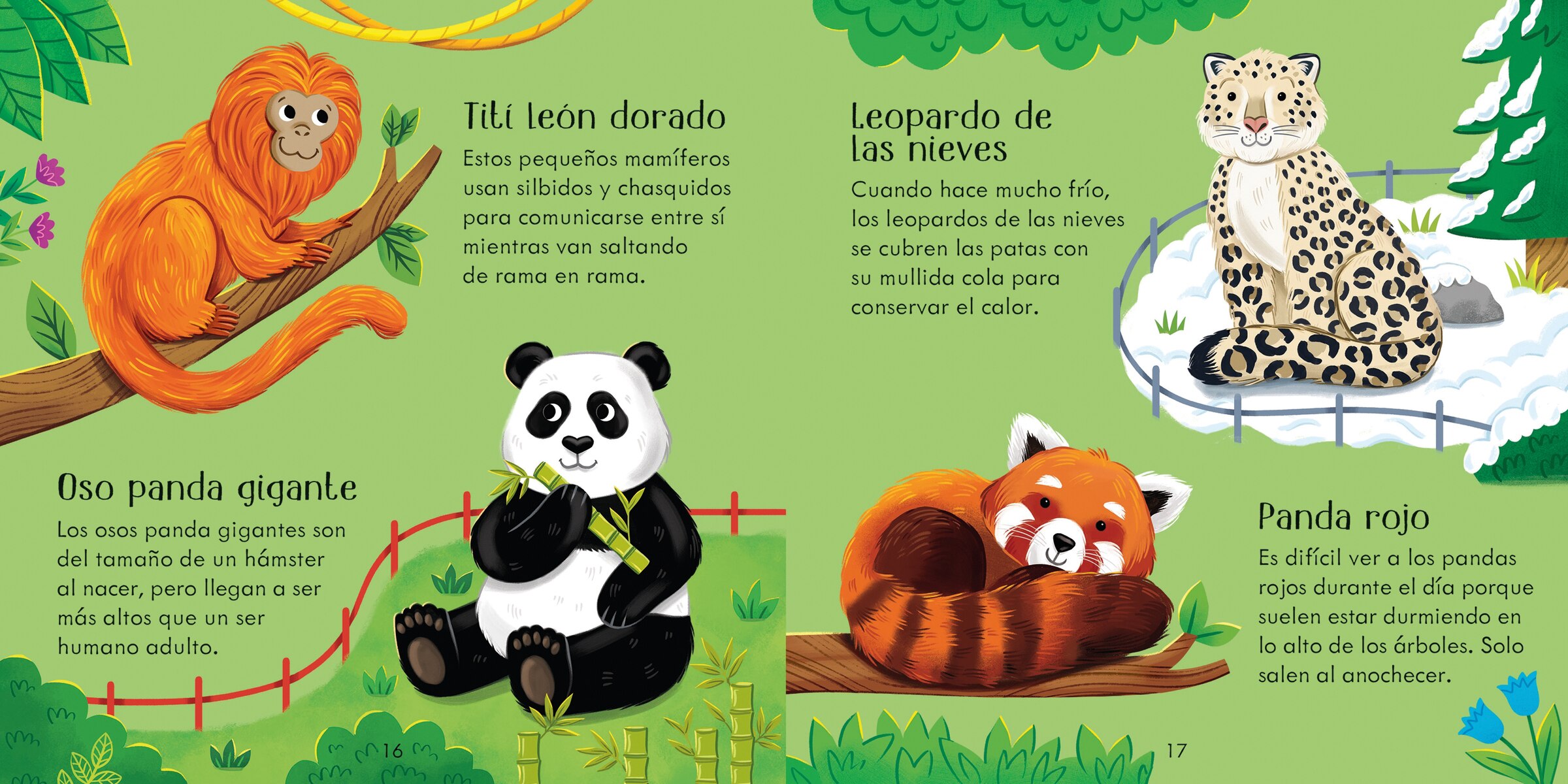 Imagen 5 de En un zoo