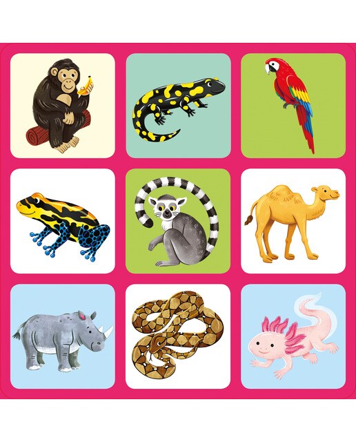 Imagen 6 de En un zoo