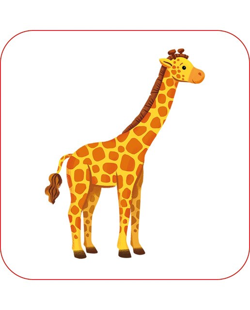 Imagen 8 de En un zoo