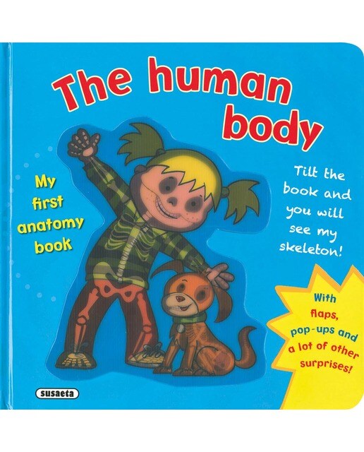 The human body 1