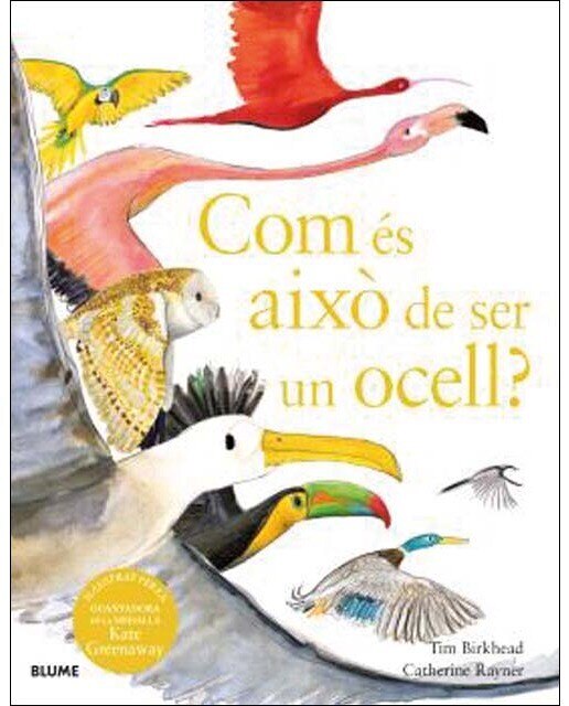 Imagen 0 de Com és això de ser un ocell?  (Tapa dura)