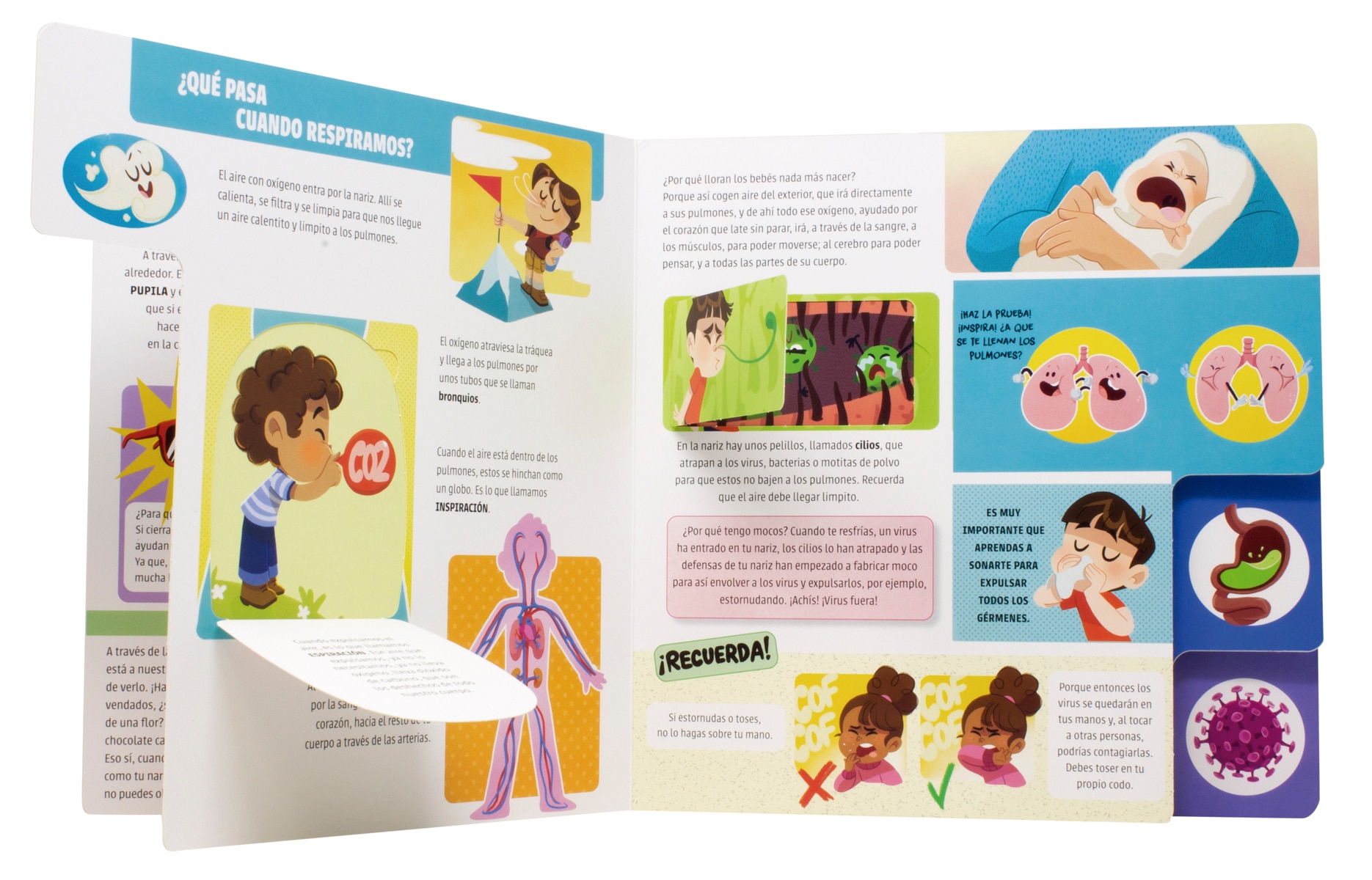 El gran libro del cuerpo humano: ¡Con solapas! 3