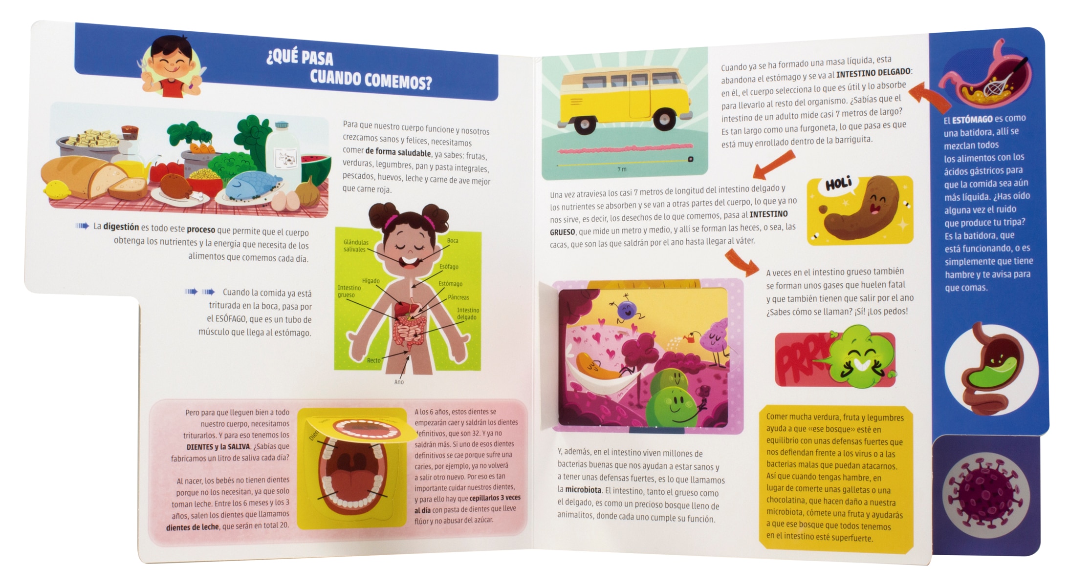 El gran libro del cuerpo humano: ¡Con solapas! 4