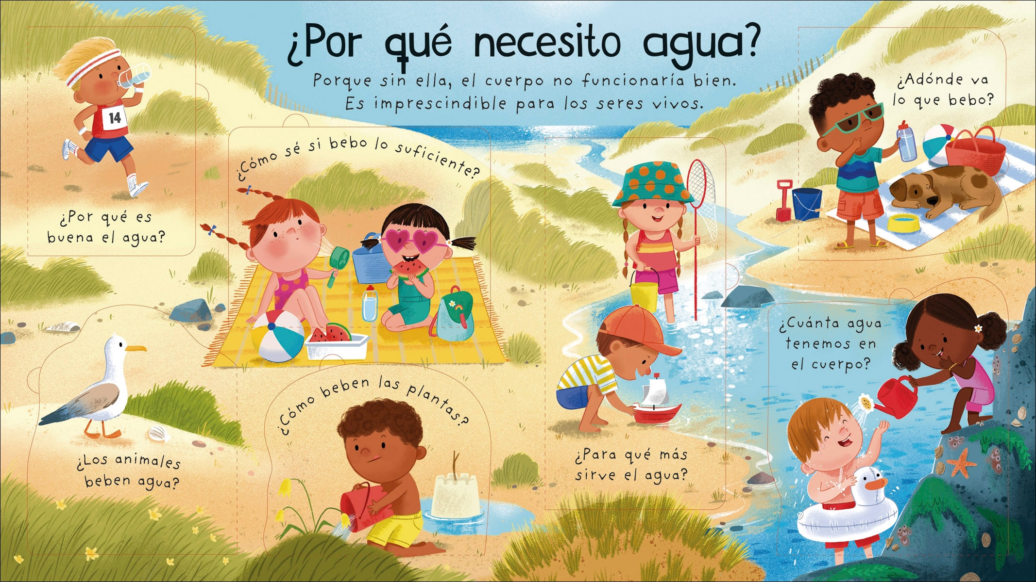 ¿De dónde sale el agua? 3