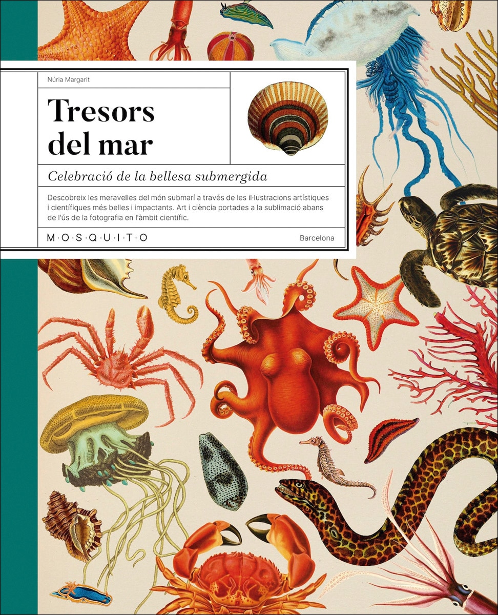 Tresors del mar: Celebració de la bellesa submergida 1