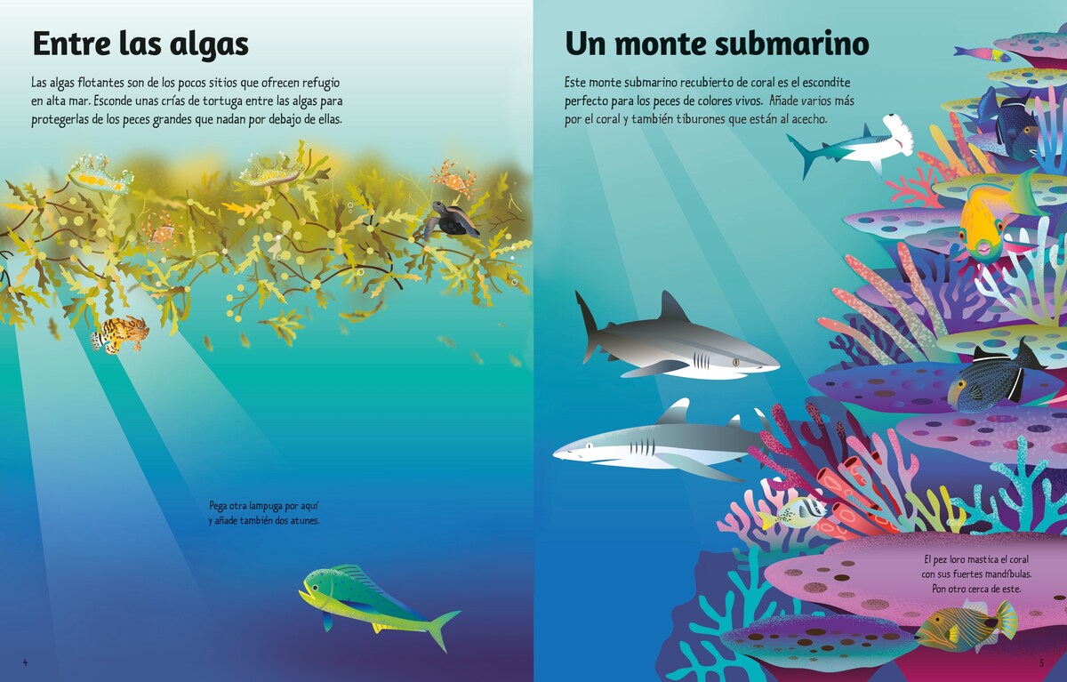 El océano (Capa mole) 3