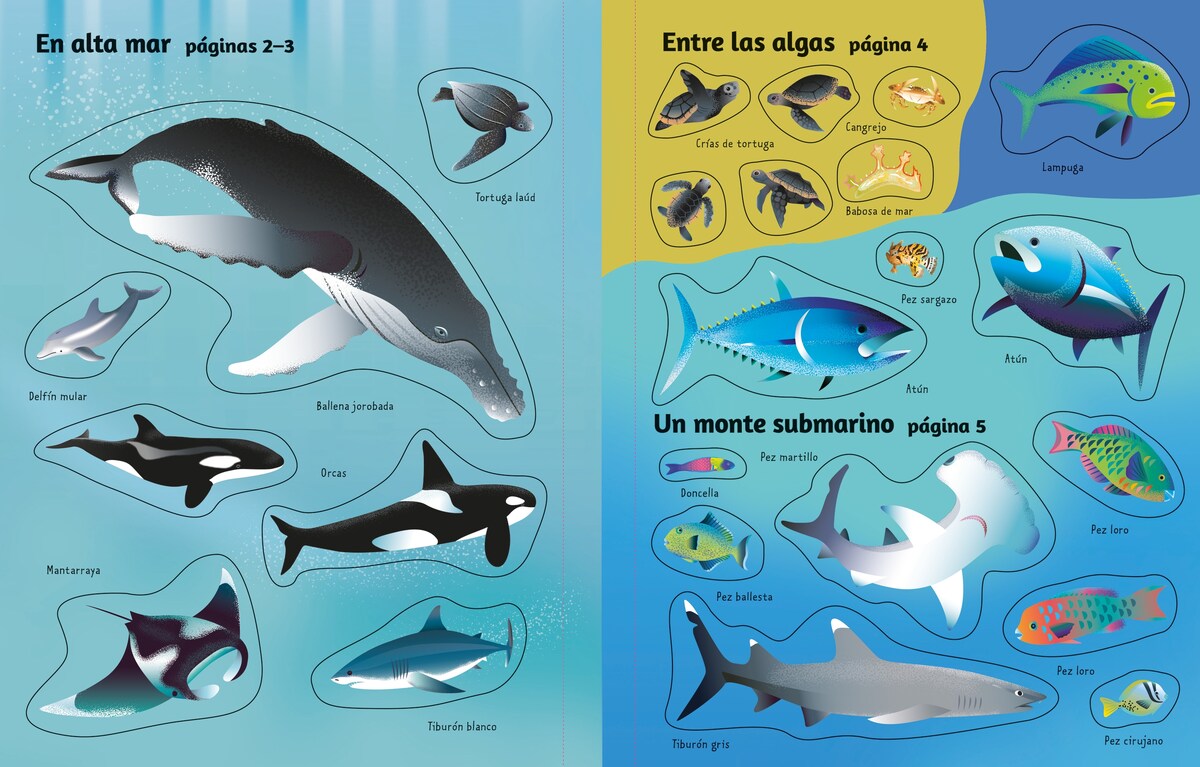 El océano (Capa mole) 4