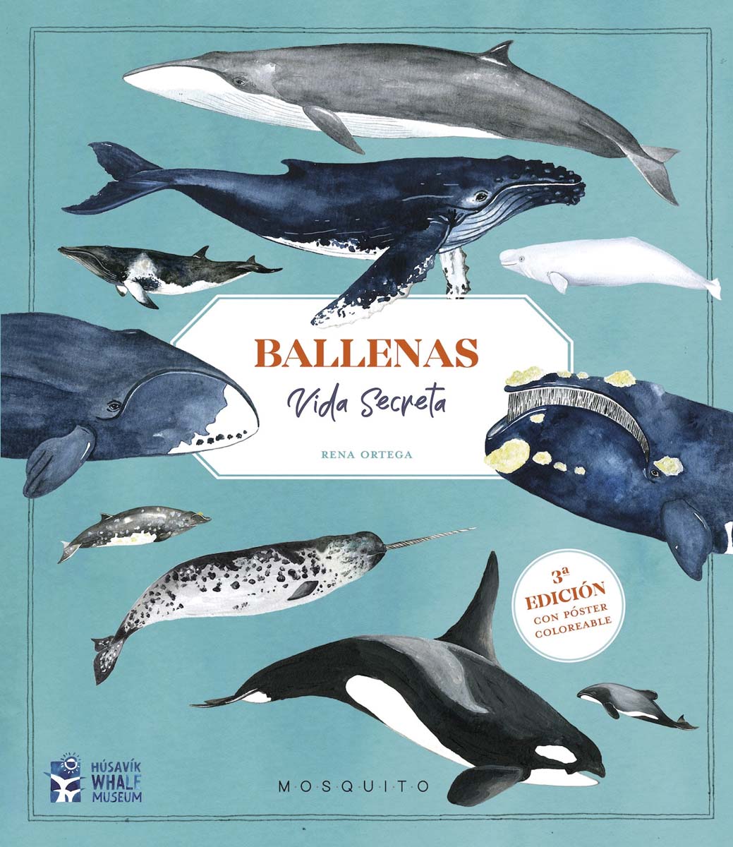 Imagem 0 de Ballenas. Vida secreta (3ª edición con póster coloreable)