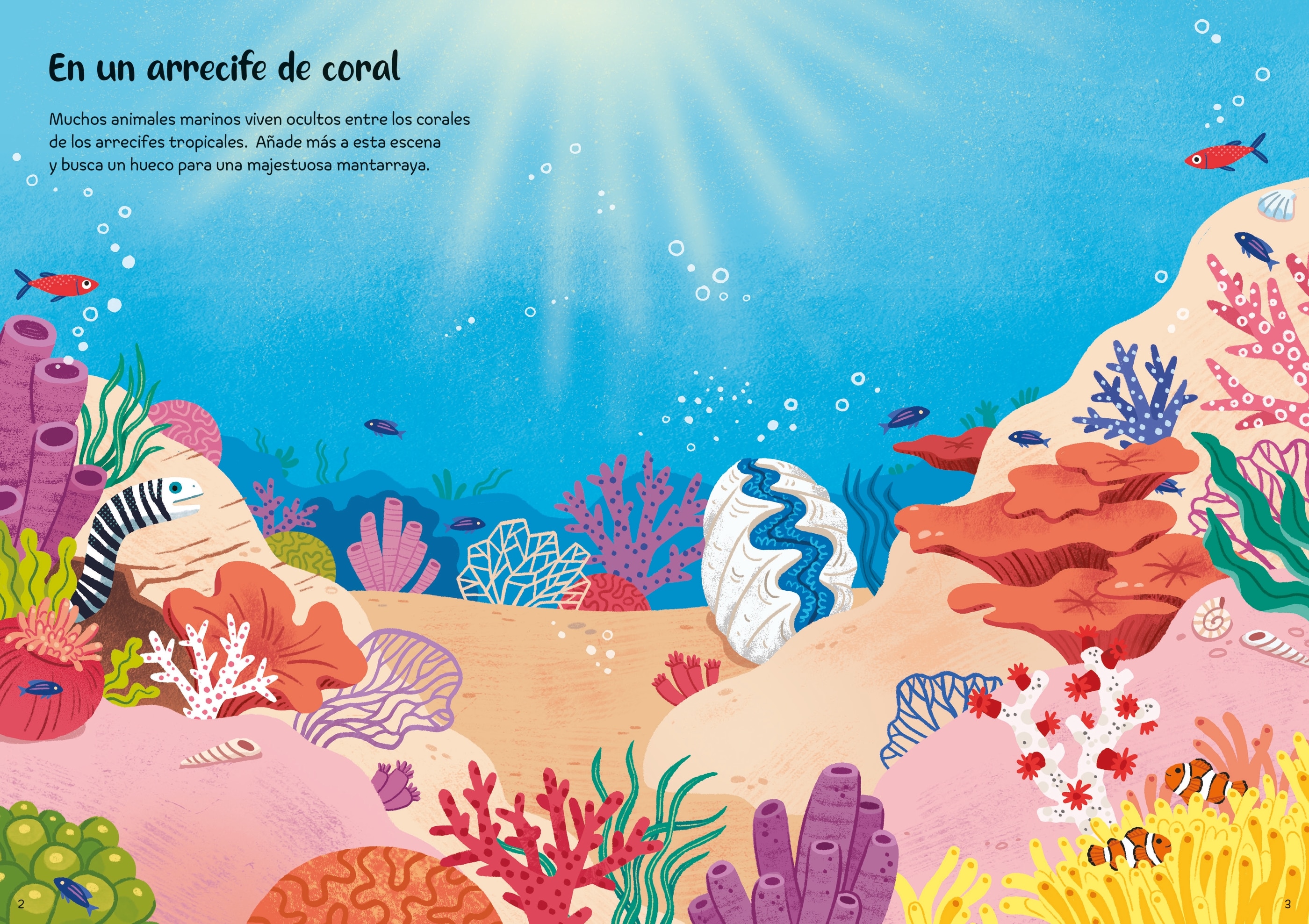 Animales marinos (Capa mole) 2