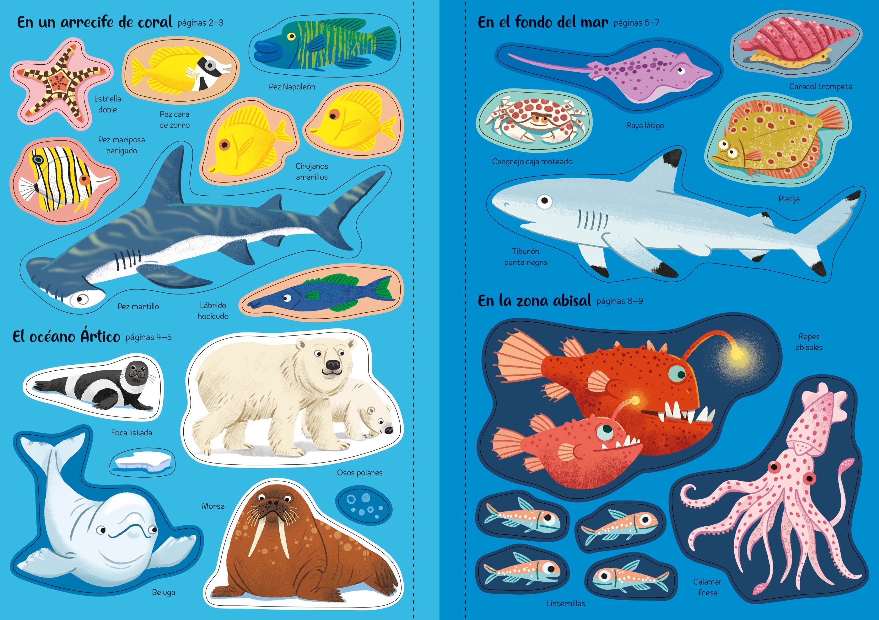 Animales marinos (Capa mole) 4