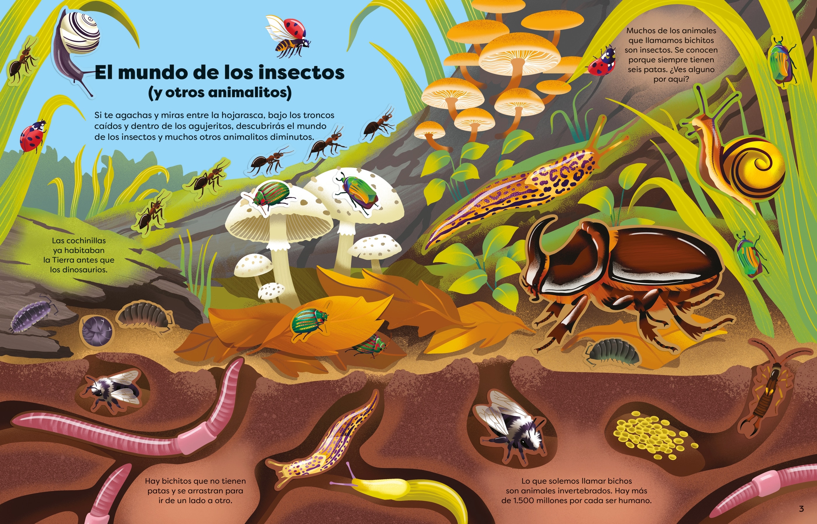 Bichitos (Capa mole) 2