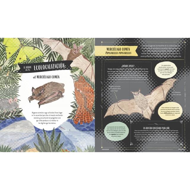 Fauna: Todos los secretos del mundo animal (Capa dura) 3