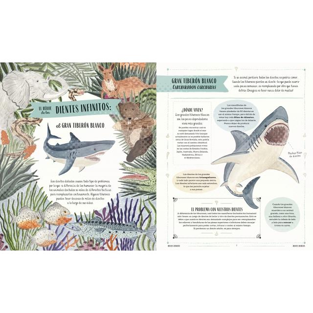 Fauna: Todos los secretos del mundo animal (Capa dura) 4