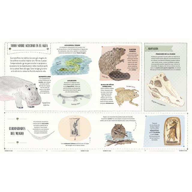 Fauna: Todos los secretos del mundo animal (Capa dura) 5