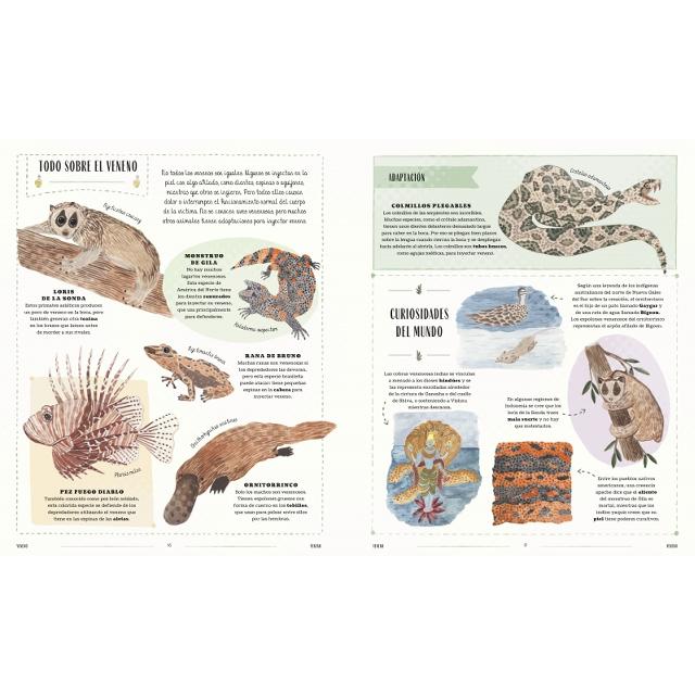 Fauna: Todos los secretos del mundo animal (Capa dura) 6