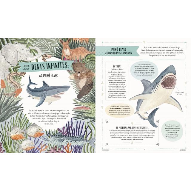 Fauna (català): Tots el secrets del món animal (Capa dura) 2