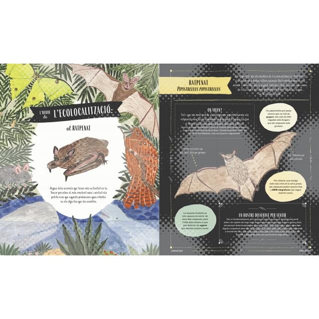 Fauna (català): Tots el secrets del món animal (Capa dura) 3