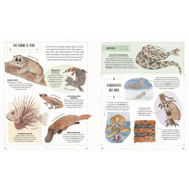 Fauna (català): Tots el secrets del món animal (Capa dura) 4