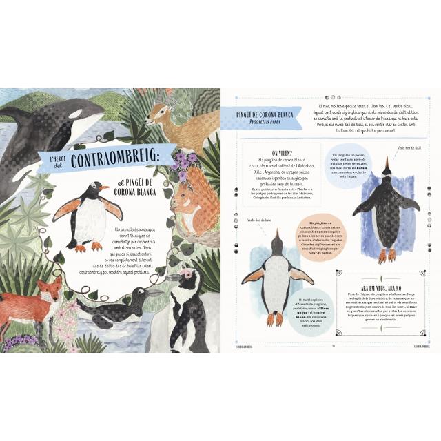 Fauna (català): Tots el secrets del món animal (Capa dura) 5