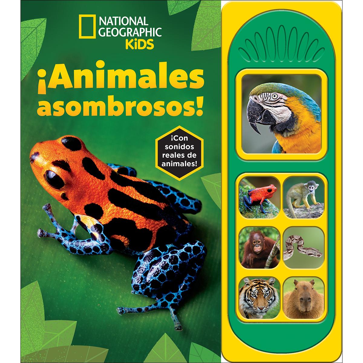 ¡animales asombrosos! national geographic kids 7 b 1