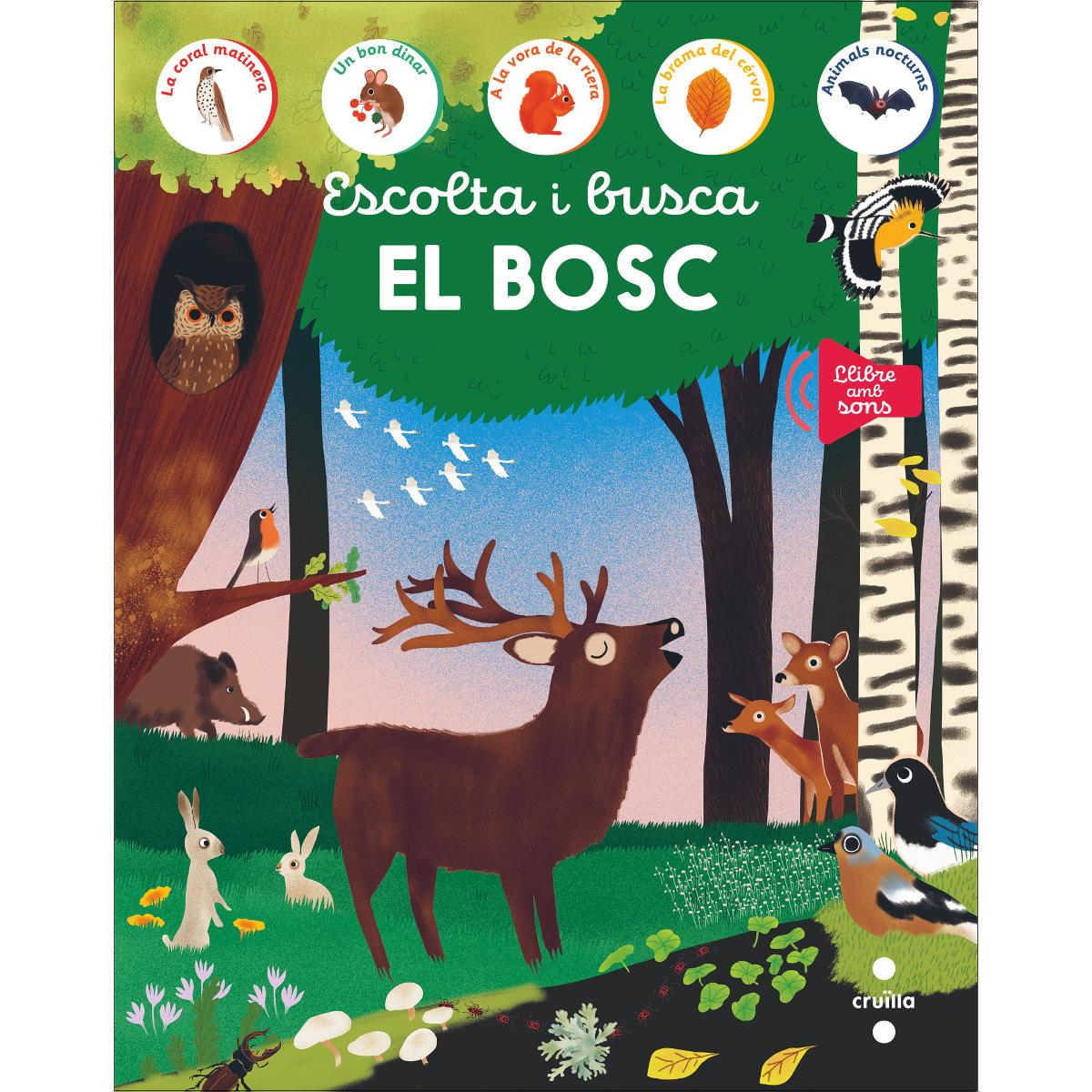 Escolta i busca. El bosc (Capa dura) 1