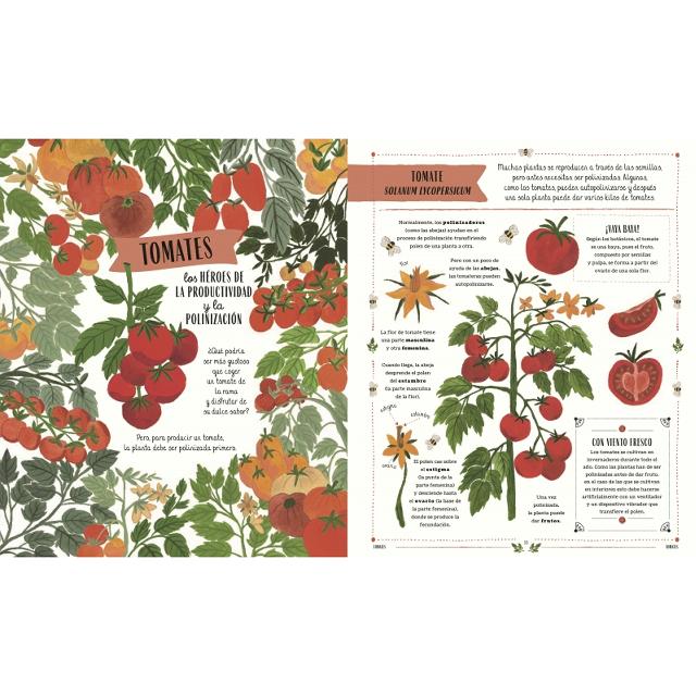 Jardín: El fascinante mundo de las plantas y hortalizas (Capa dura) 4