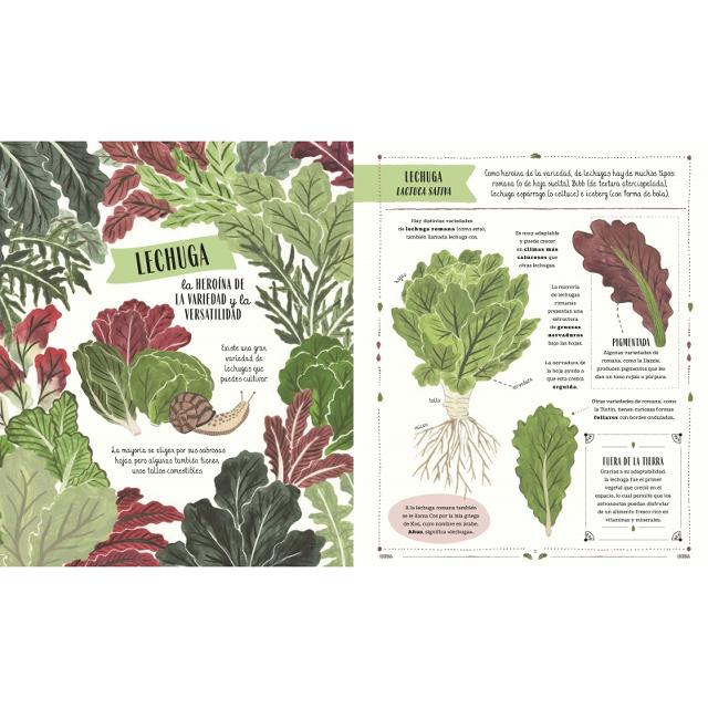 Jardín: El fascinante mundo de las plantas y hortalizas (Capa dura) 5
