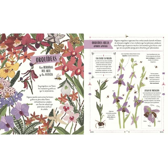 Jardín: El fascinante mundo de las plantas y hortalizas (Capa dura) 6