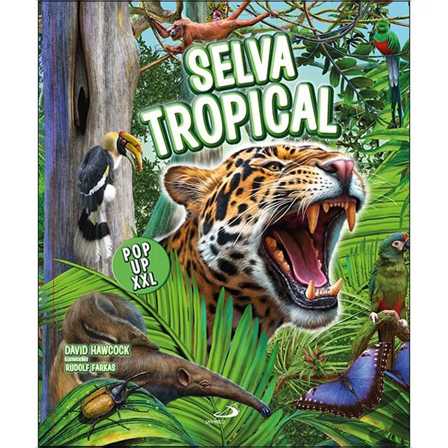 Imagem 0 de Selva tropical pop up XXL