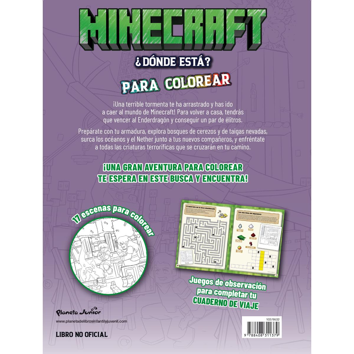 Minecraft. ¿Dónde está? Para colorear 2