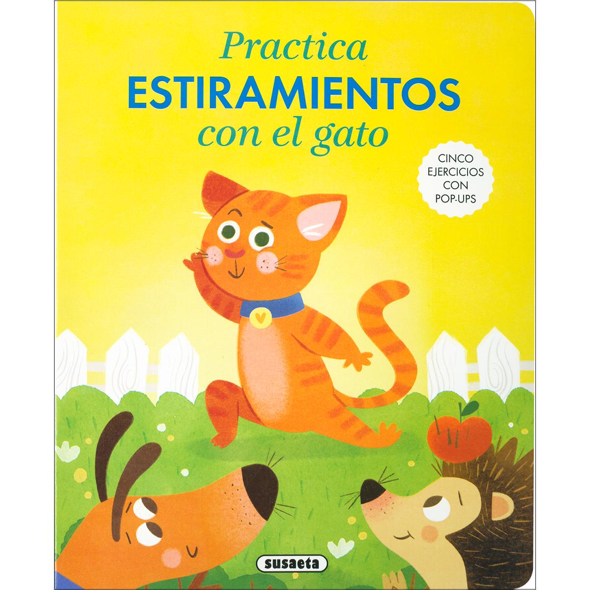 Practica estiramientos con el gato 1