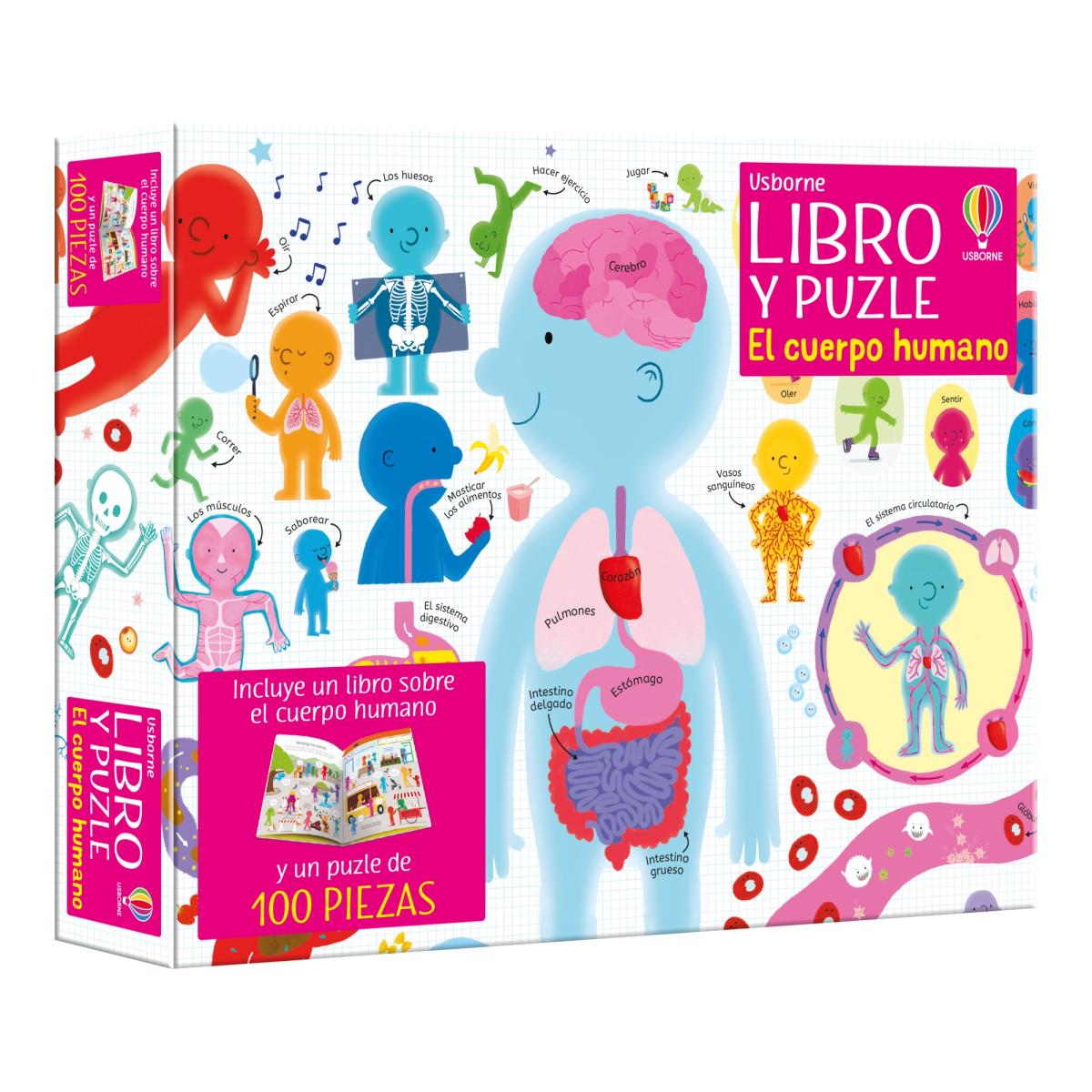 El cuerpo humano (Capa mole) 1