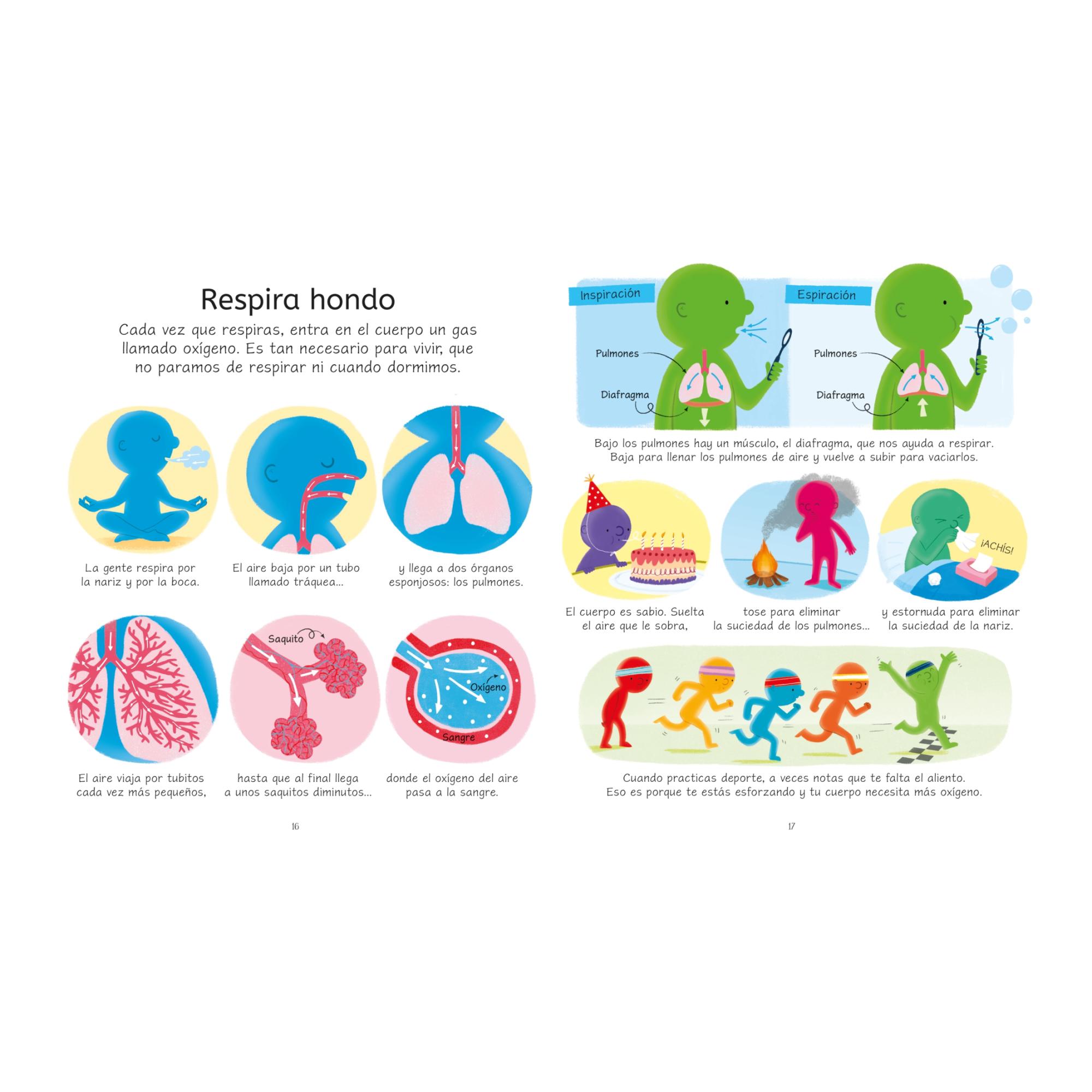 El cuerpo humano (Capa mole) 3
