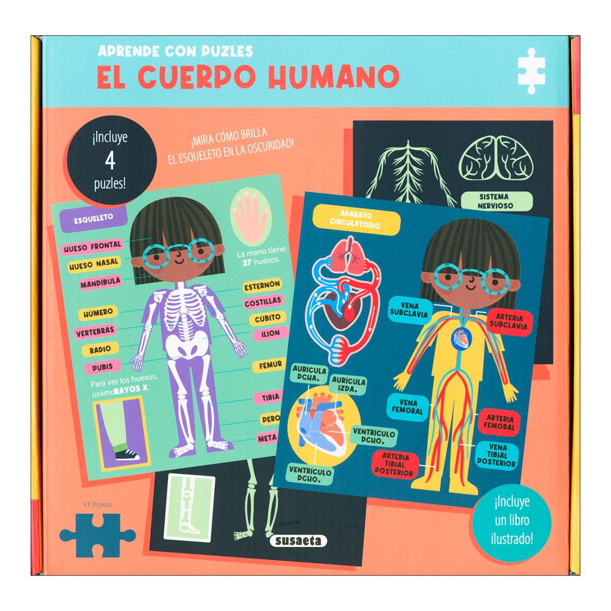 El cuerpo humano 1