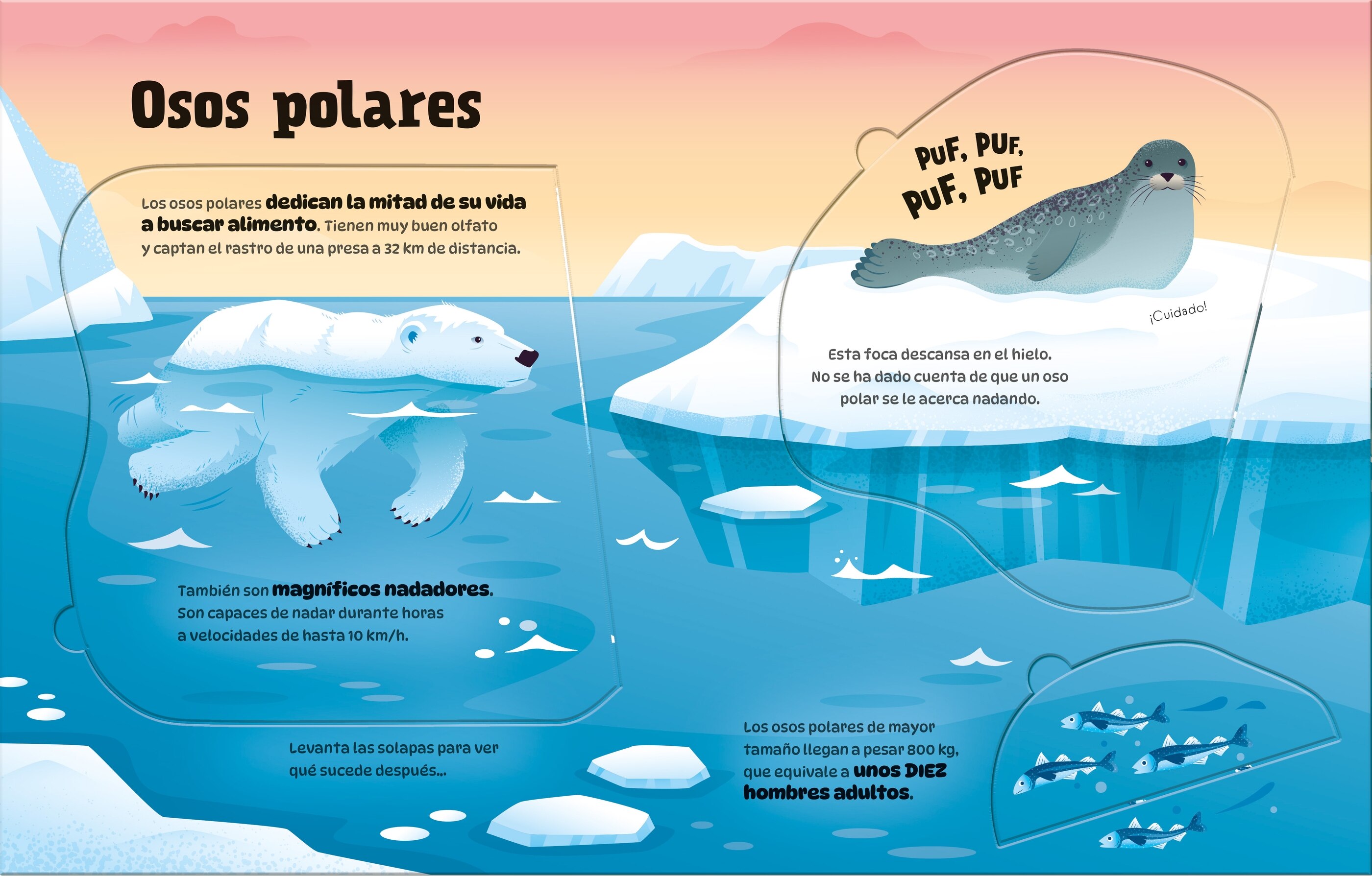 Animales Grandotes (Con Solapas Grandota 6