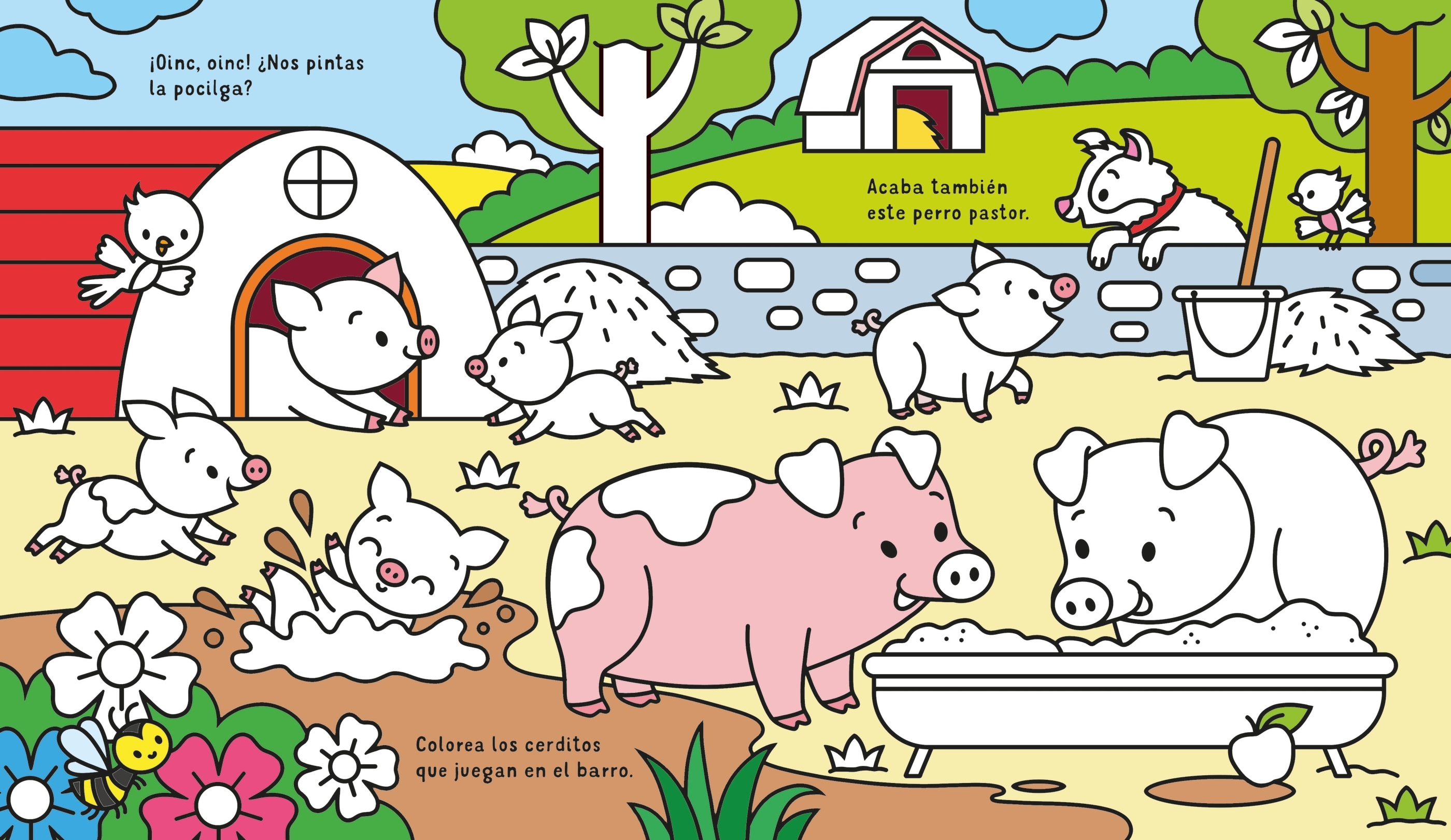 Una granja.aguacadabra 4