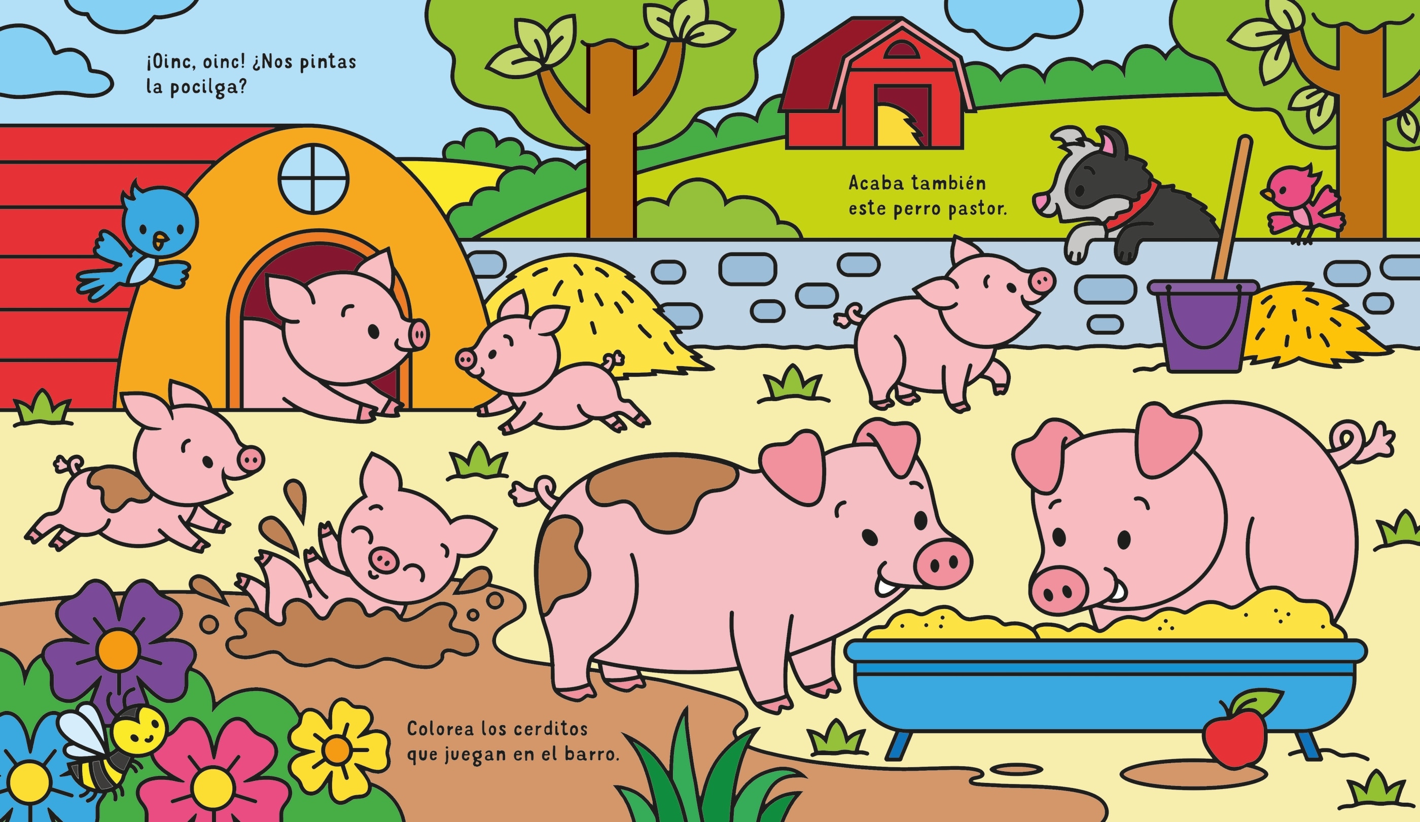 Una granja.aguacadabra 5