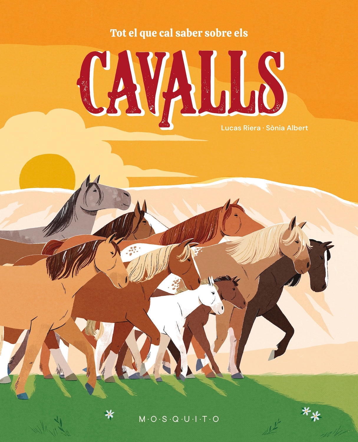 Imagem 0 de TOT EL QUE CAL SABER SOBRE ELS CAVALLS (Capa dura)