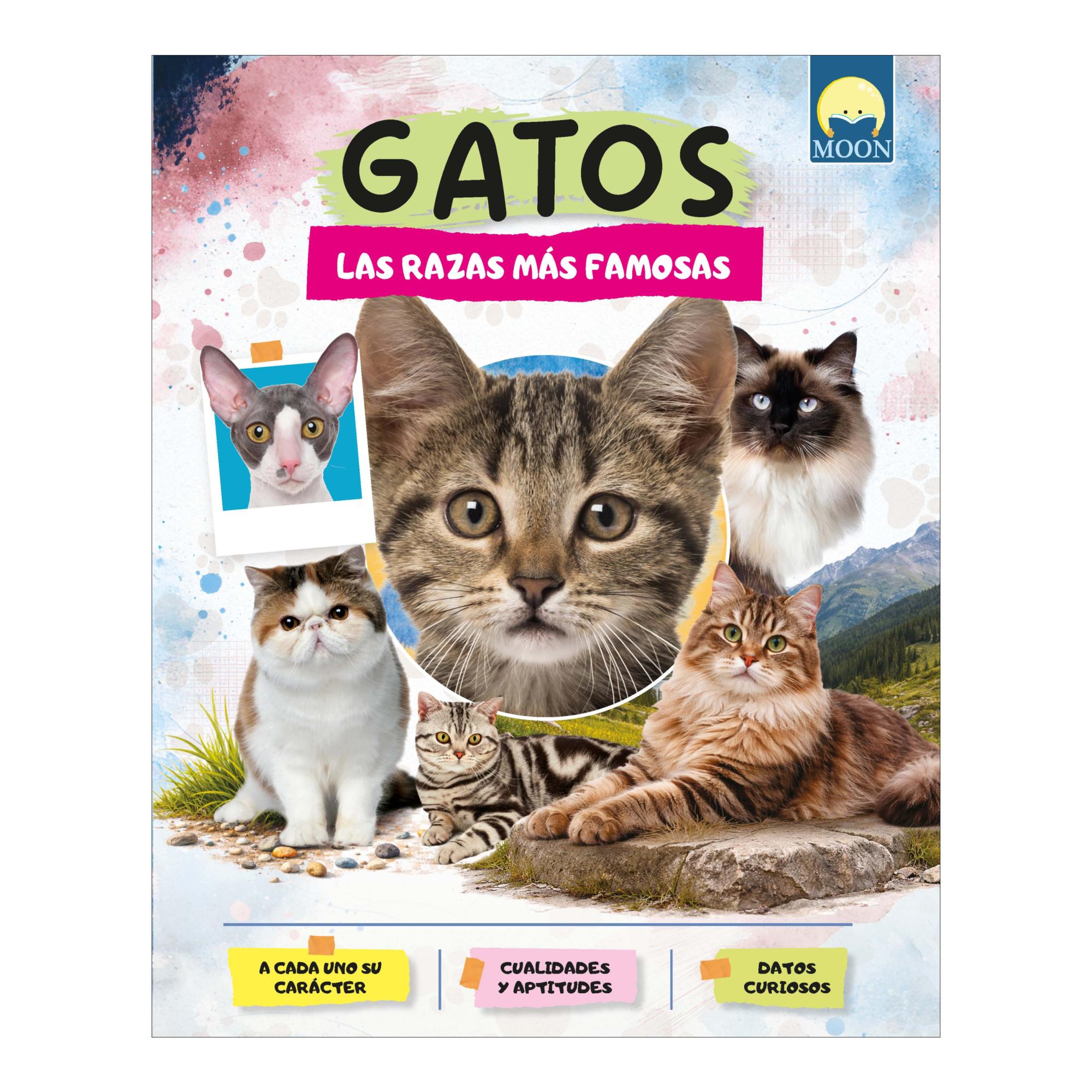 Imagem 0 de Gatos las razas mas famosas