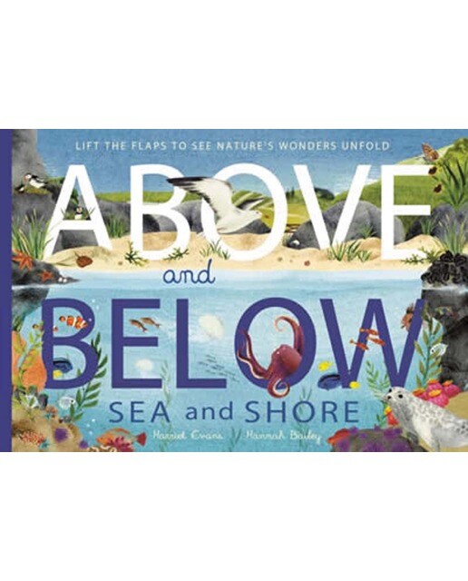 Imagem 0 de Above and below: sea and shore