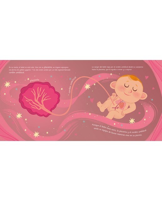 Nace un bebé. Un cuento sobre lo que pasa dentro de la barriga de mamá  (Tapa dura) 4
